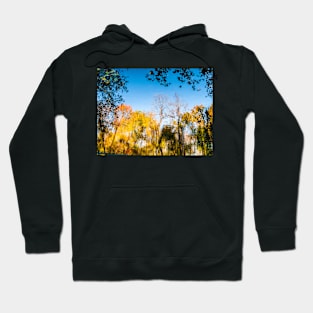 Psychedelic Autumn Pond Hoodie